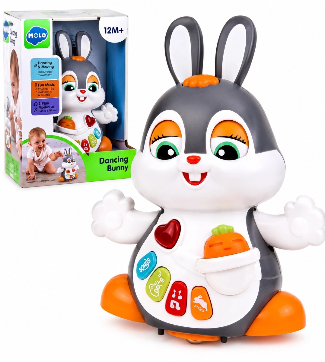 rabit