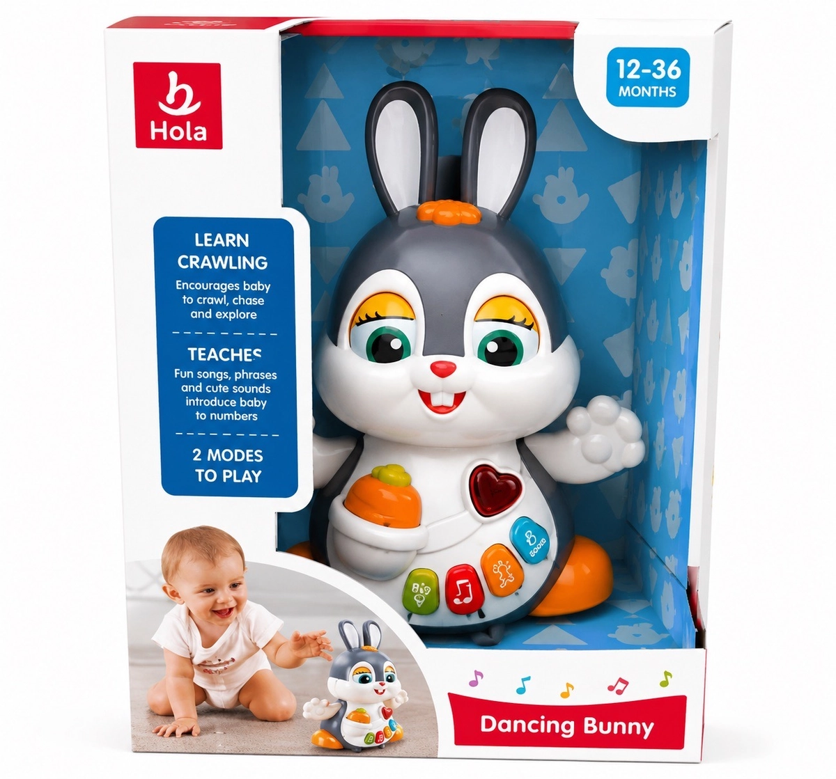 rabit